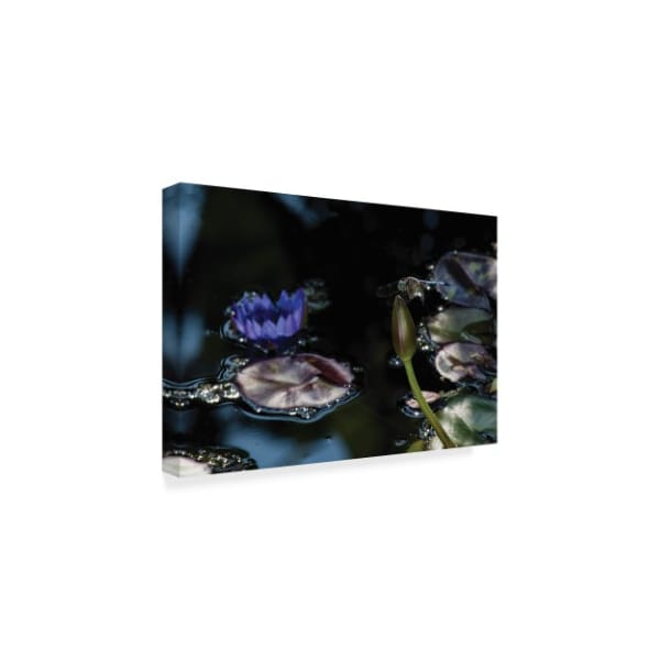 Kurt Shaffer 'The Dragonfly And The Lotus' Canvas Art,16x24